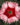 Dianthus-Color-Strawberry-Super-Parfait-closeup-web-Syngenta-1.jpg