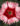 Dianthus-Color-Strawberry-Super-Parfait-closeup-web-Syngenta-1.jpg