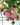 Fuchsia-Swing-Time-hanging-basket-closeup
