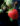 fresh-strawberry-on-tree-MG6VPHF-1900-web.jpg