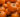 pumpkins-NZCMRD8-700-web