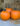carving-pumpkins