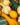colorful-ornamental-pumpkins-gourds-and-squashes-i-SJ949AU-background