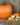 pumpkins-gourds-background