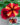 Crazytunia-petunia-tiki-torch-hanging-basket-closeup