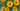 The-Garden_Spot-Fall-2025-Sunflowers–Rudbeckia-web3